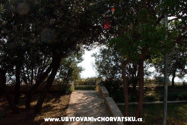 Apartmány ISA – foto 6