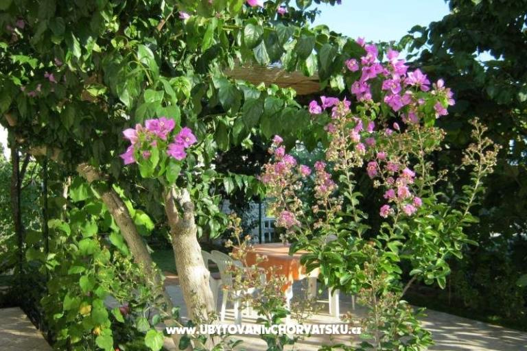 Apartmány Maja – foto 14