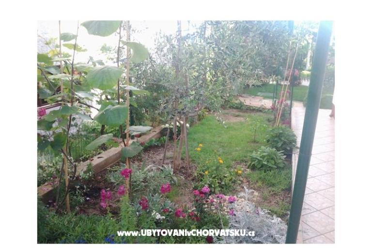 Apartmány Maja – foto 15