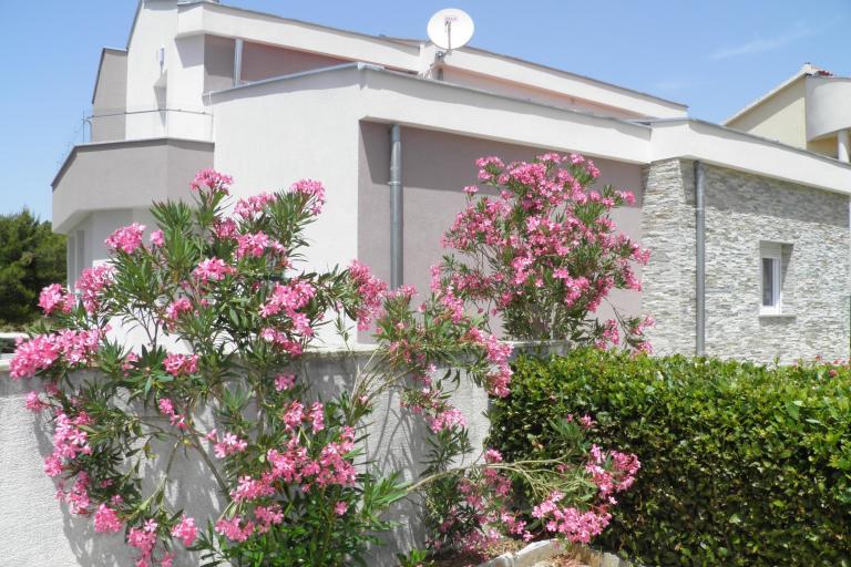 Apartmány Mirakul – foto 8