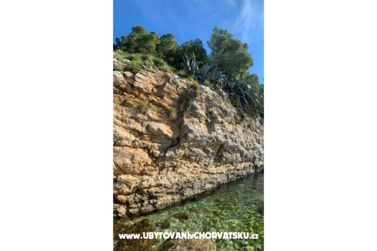 Accommodation Rita – foto 15