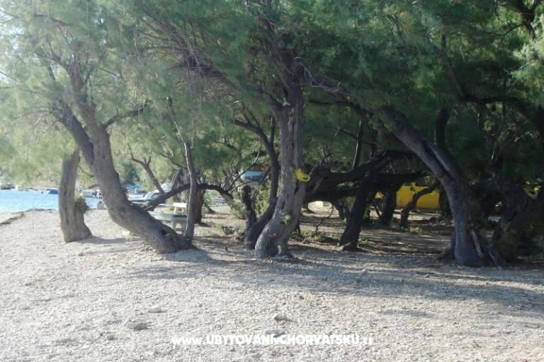 Apartmány Hudi – foto 14