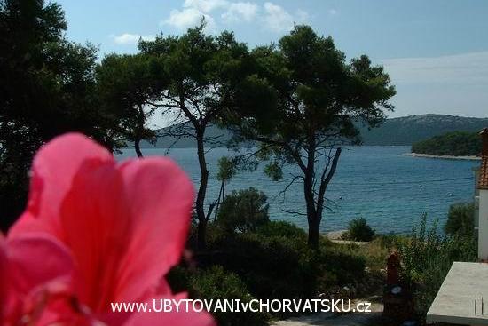 Bruno Apartmány – foto 7