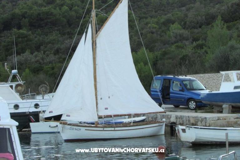 Dom Branka – foto 15