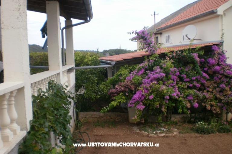 Dom Branka – foto 16