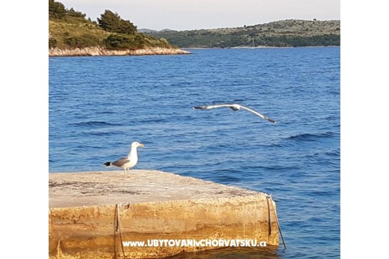 Robinzonski turizam Lavdara Dominis – foto 28