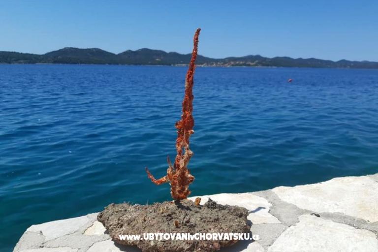 Robinzonski turizam Lavdara Dominis – foto 32