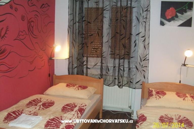 Chameleon hostel – foto 4