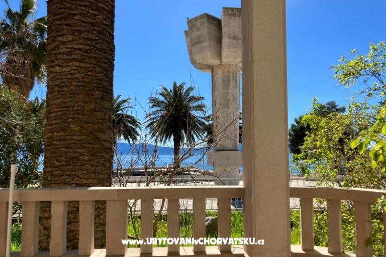 Vila Danica – foto 5