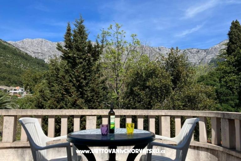 Vila Danica – foto 8