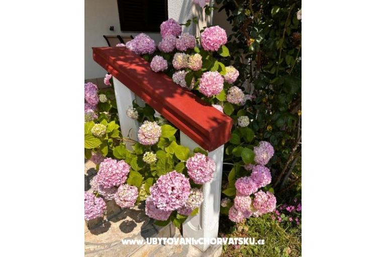 Apartmány Ana Ercegović  – foto 10