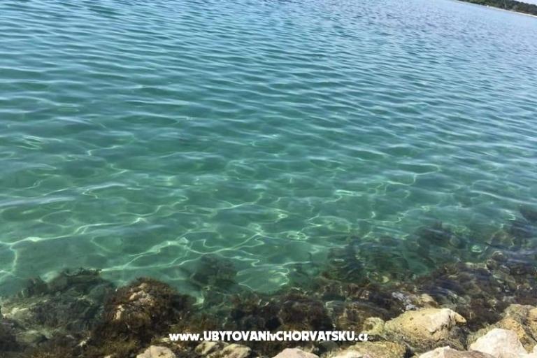 Apartmány Ana Ercegović  – foto 15