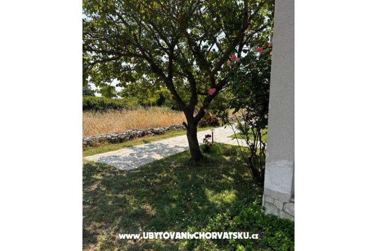 Apartmány Ana Ercegović  – foto 8