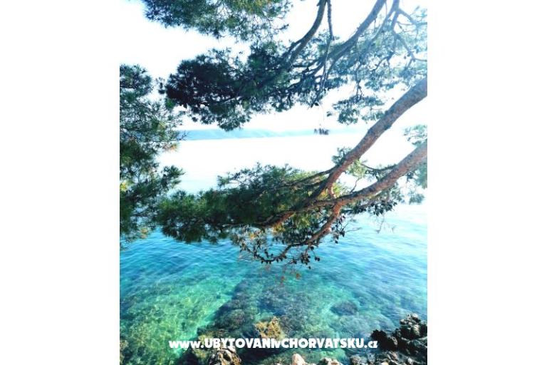 Apartmány Anita Jelaš Veža – foto 3