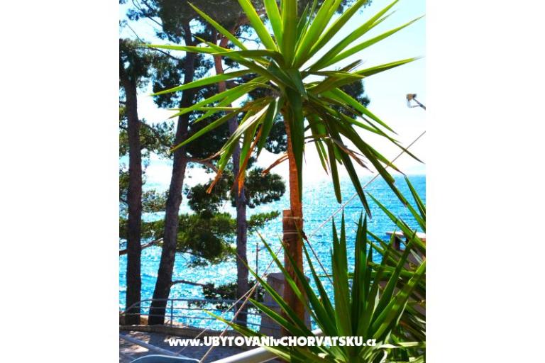 Apartmány Anita Jelaš Veža – foto 6