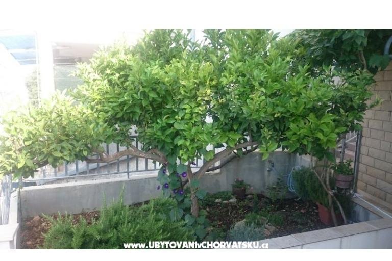 Apartmány Jovanović – foto 12