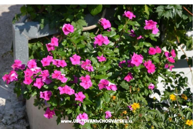 Apartmány Majstrović Živogošće – foto 11