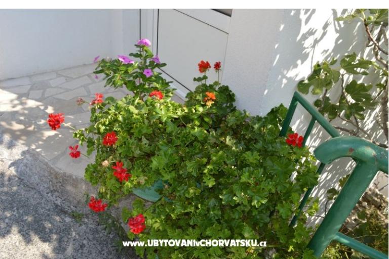 Apartmány Majstrović Živogošće – foto 12