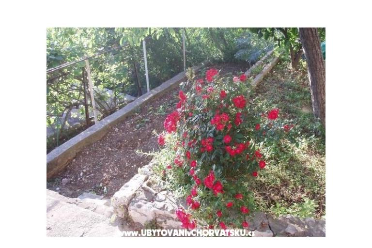 Apartmány Tiho – foto 11