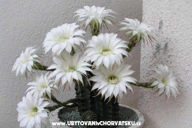 Apartmány LM – foto 3