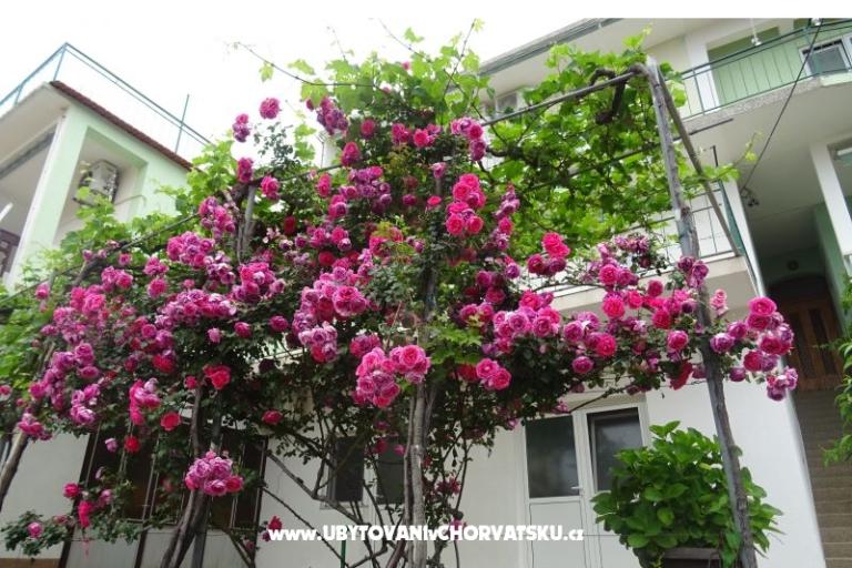 Apartmány NEDA – foto 3
