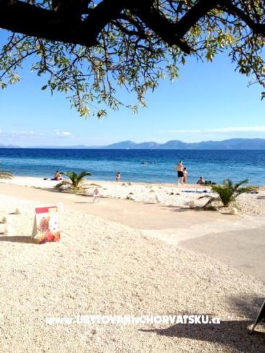 Apartmány Vila Djenka – foto 17
