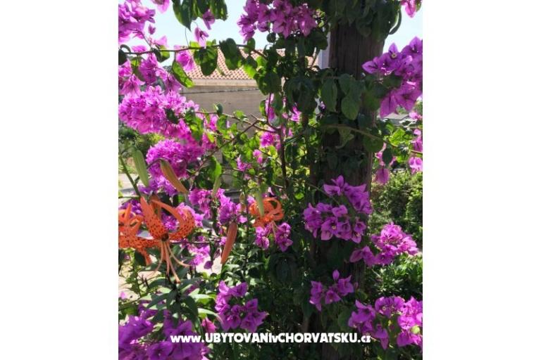 Apartmány Kod Vlaha ,I&amp;T – foto 13