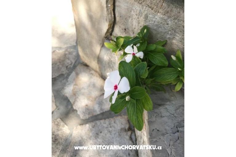 Apartmány Kod Vlaha ,I&amp;T – foto 14