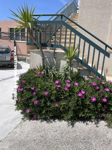 Apartmány Leko – foto 22
